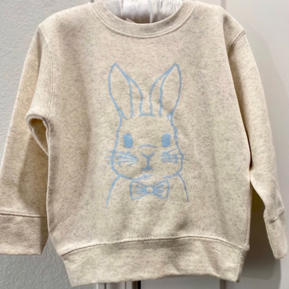 Rabbit Skins Toddler Boy’s Soft Ivory Spring Easter Blue Bunny Sweatshirt 3T